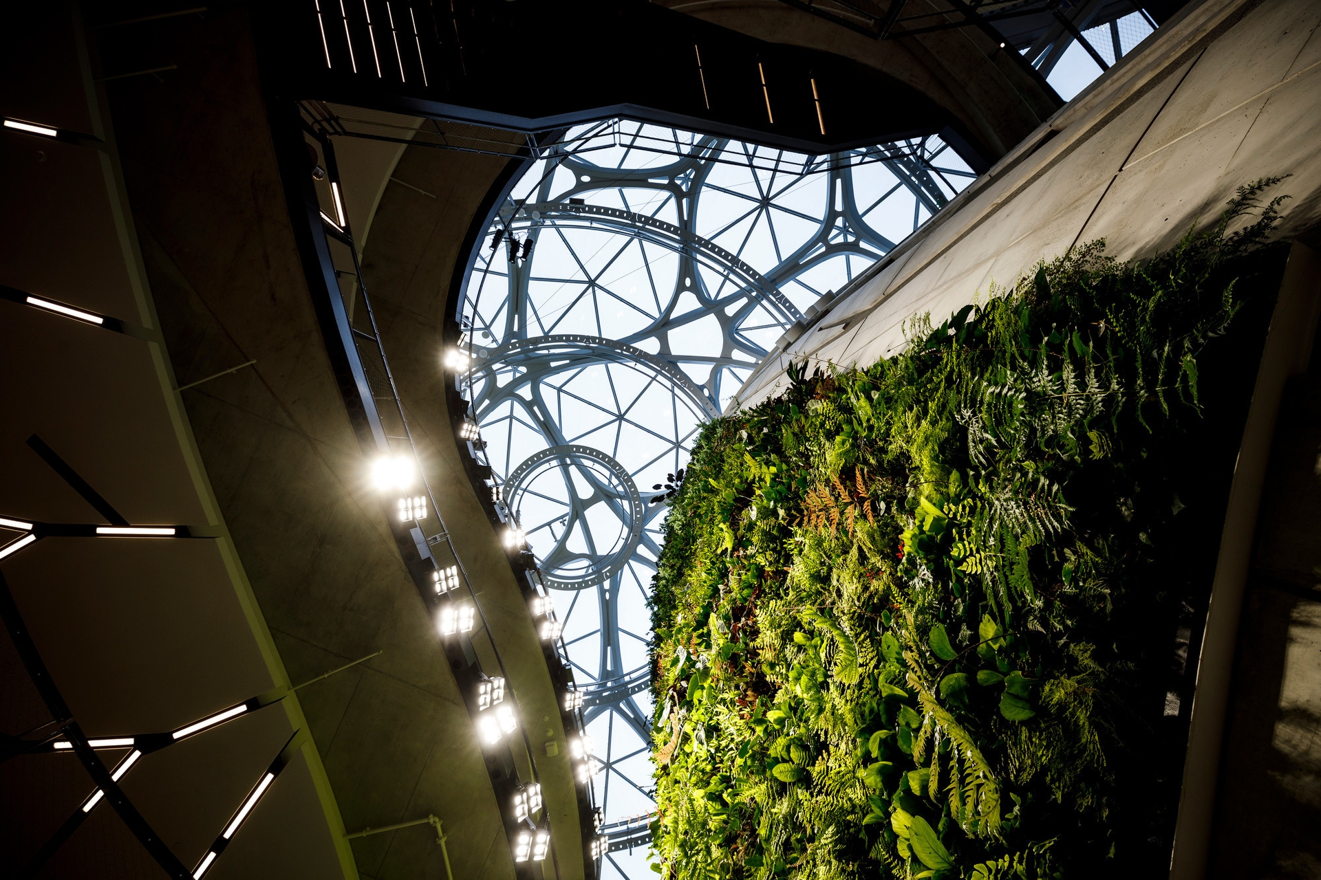An upward looking view from the ground floor of The Spheres, featuring its unique architecture and plant life. 