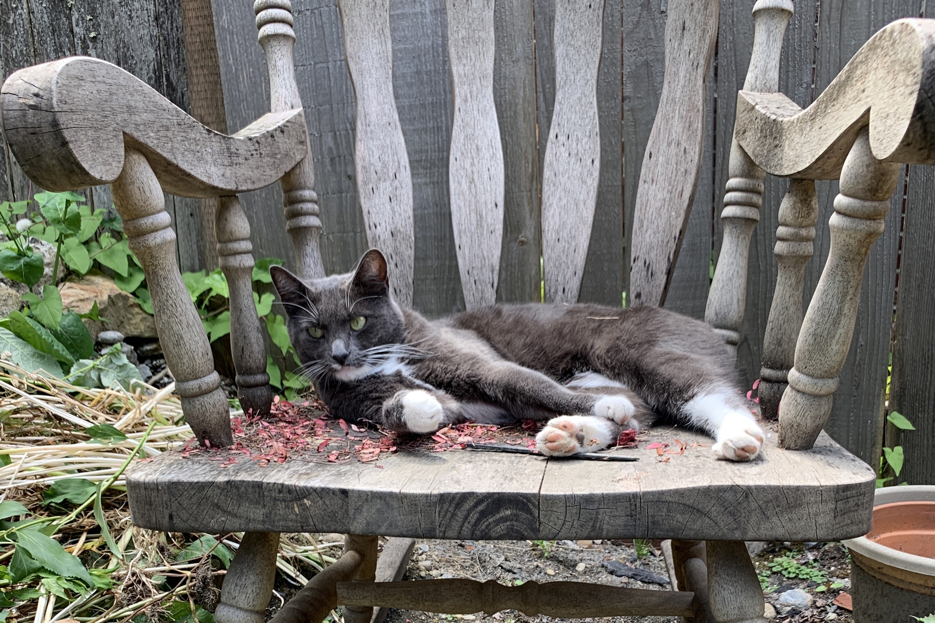 A cat lies on a weathered wooden rocking chair.